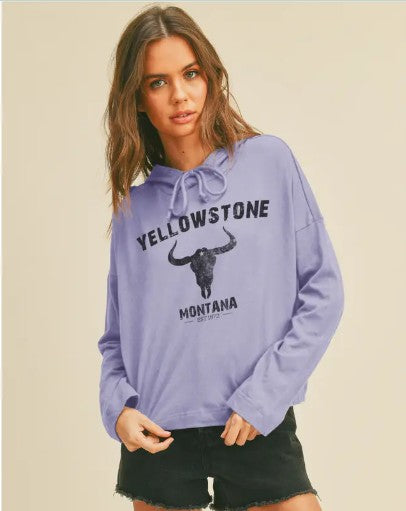 Yellowstone Montana Graphic Hooded T-Shirt